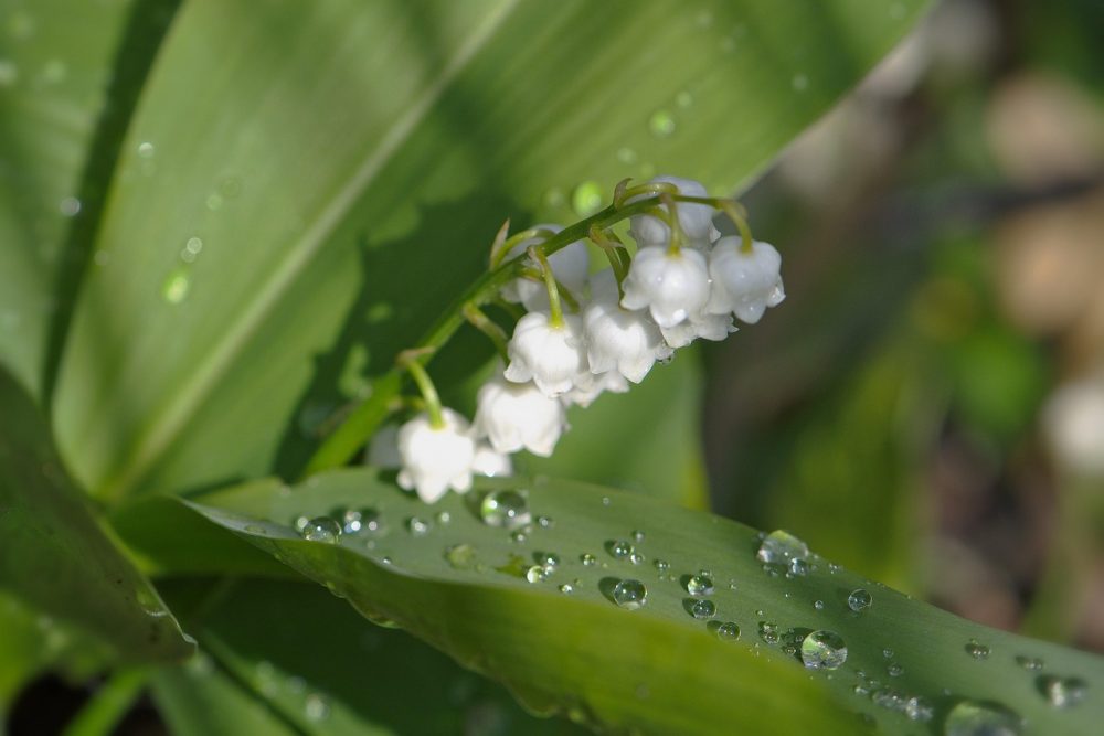 Konfirmation - neue Wege Image