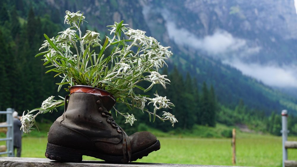 Schuhe der Bereitschaft zum Frieden